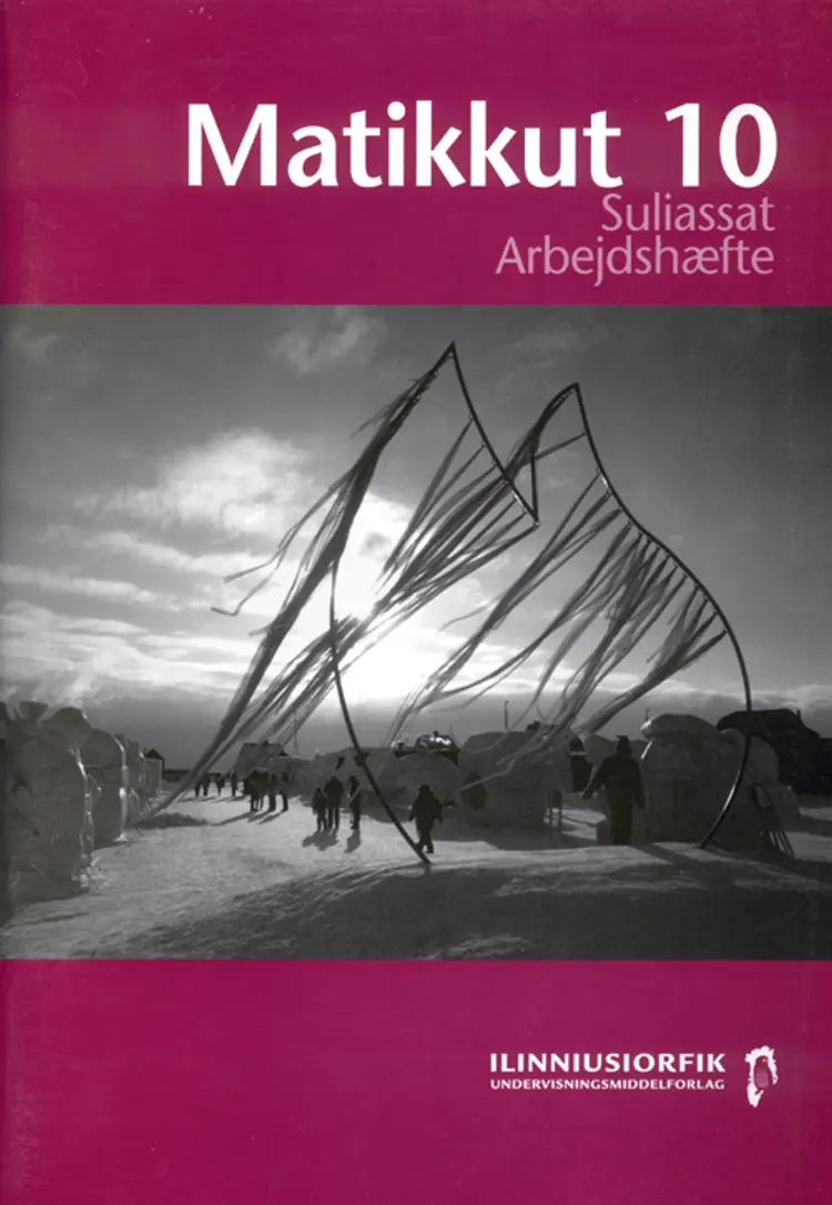 Matikkut 10 af Lene Christensen