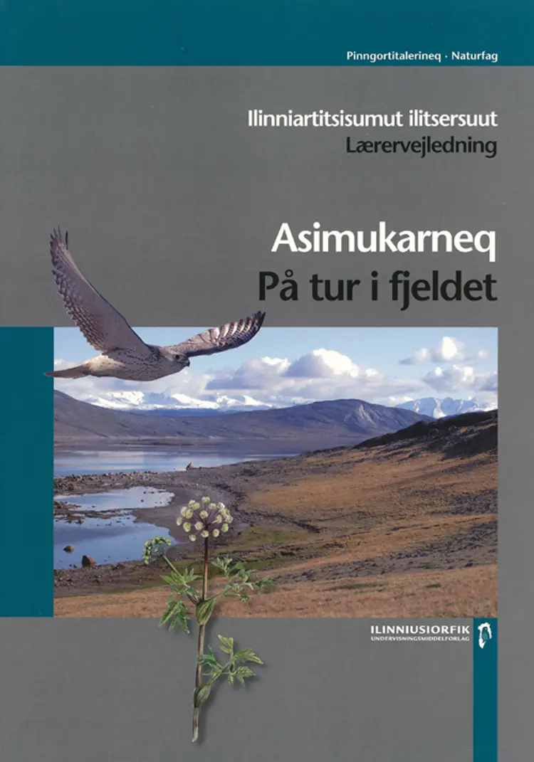 Asimukarneq af Jørgen Steen