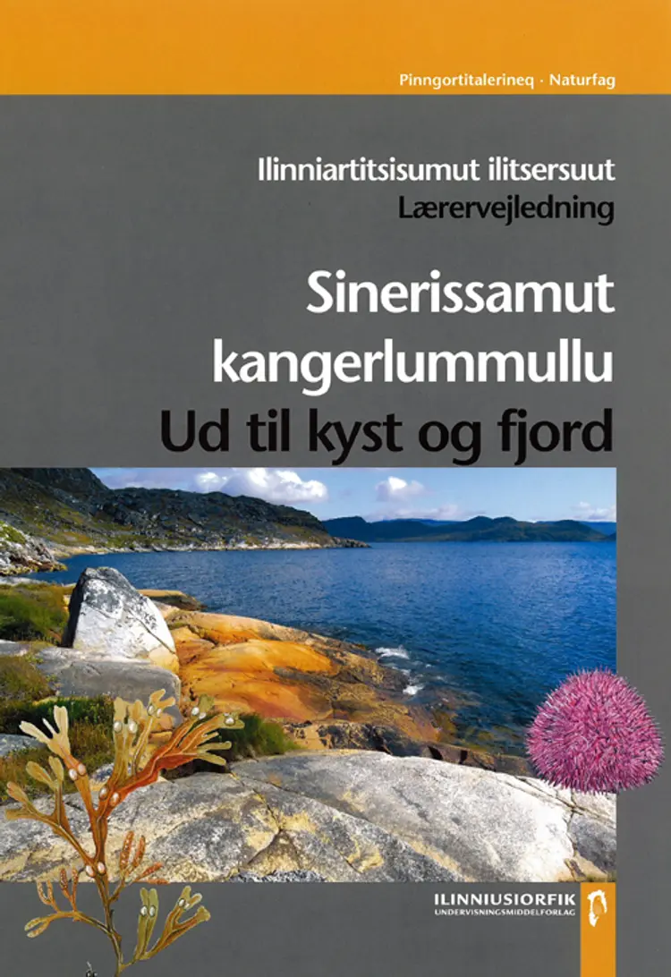 Sinerissamut kangerlummullu af Carsten Scheuer