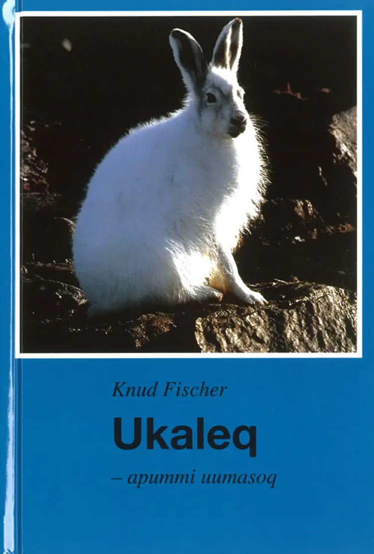 Ukaleq - apummi uumasoq af Knud Fischer