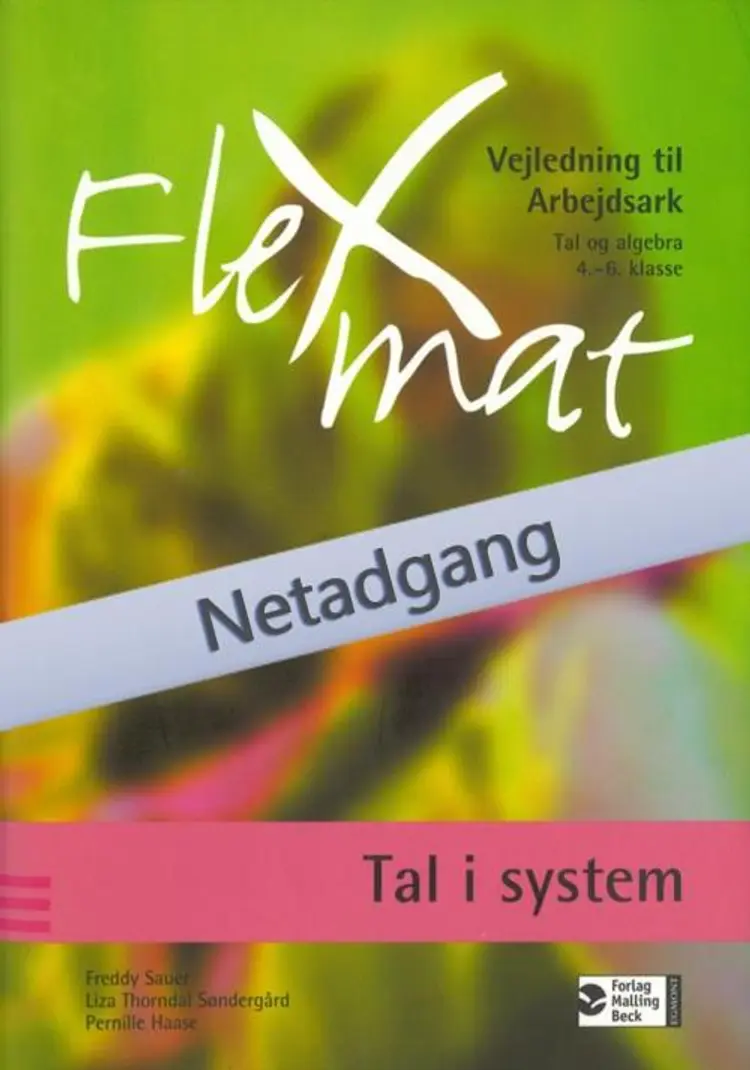 FlexMat, Tal i system, Arbejdsark, Netadgang af Freddy Sauer