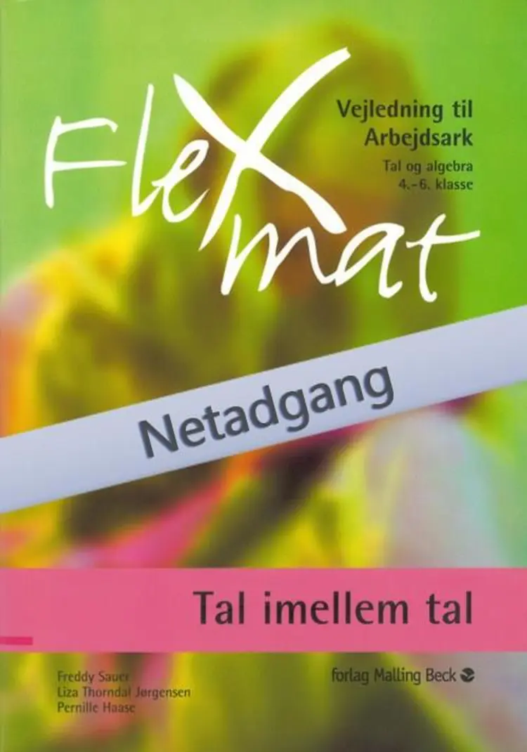 FlexMat, Tal imellem tal, Arbejdsark, Netadgang af Freddy Sauer