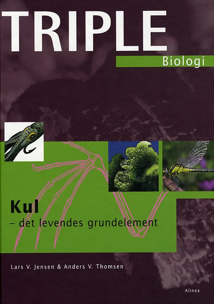 Kul - Det levendes grundelement