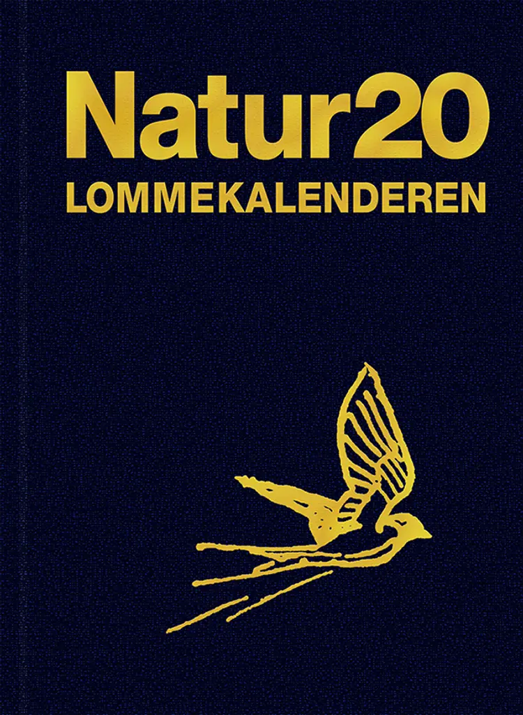 Naturlommekalenderen 2020 af Bent Lauge Madsen