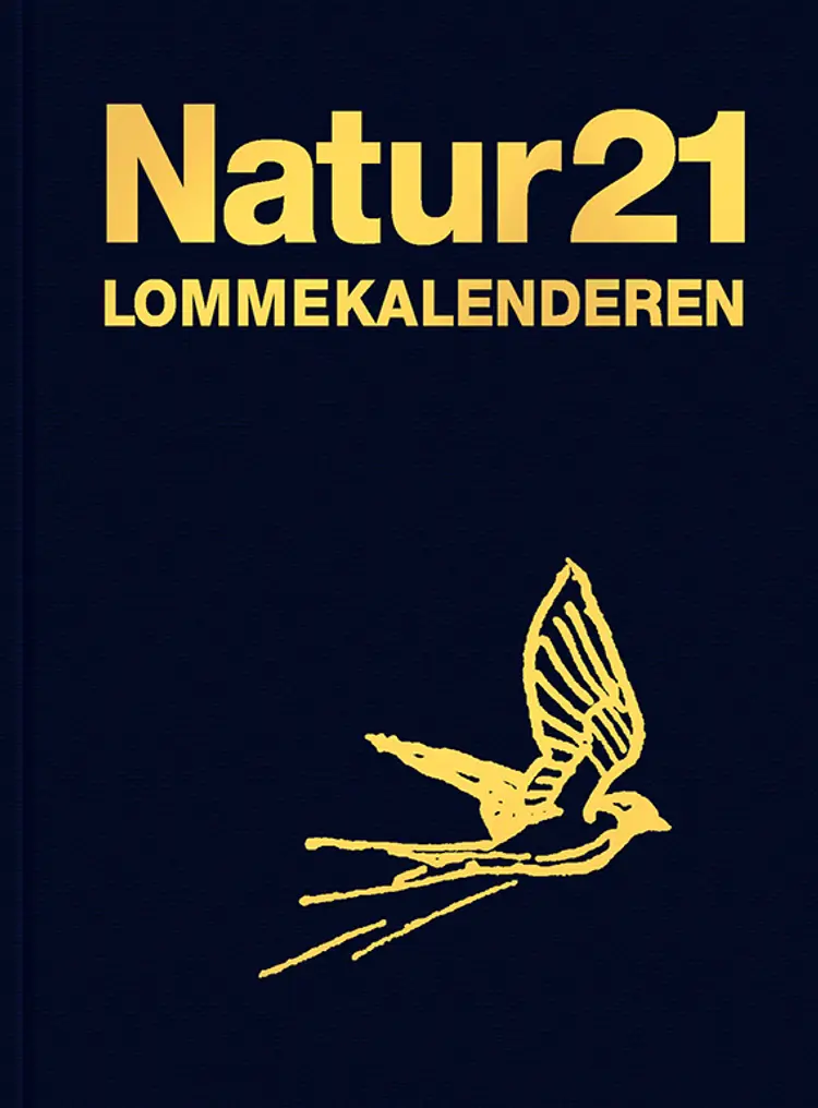 Naturlommekalenderen 2021 af Bent Lauge Madsen