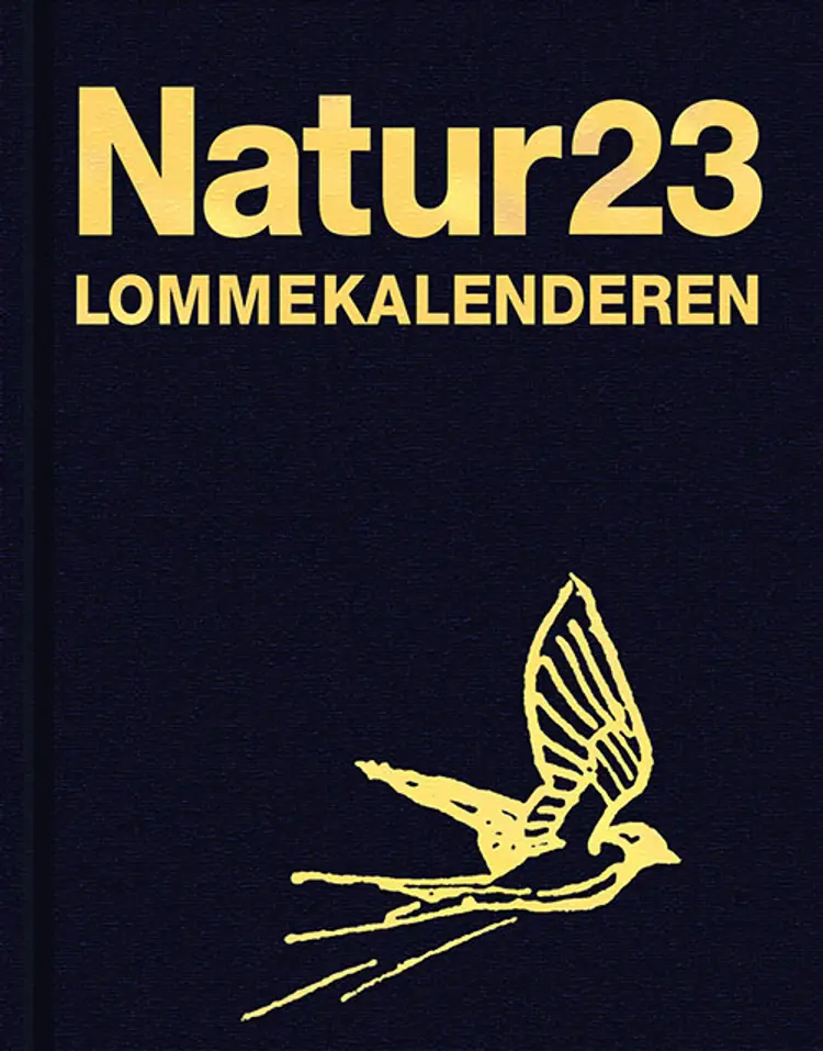 Naturlommekalenderen 2023 af Lars Thomas
