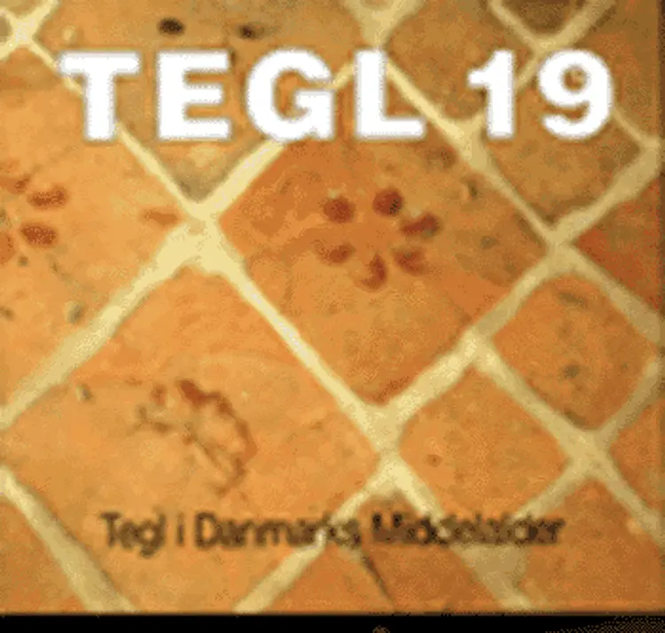 Tegl i Danmarks middelalder af Connie Hinsch