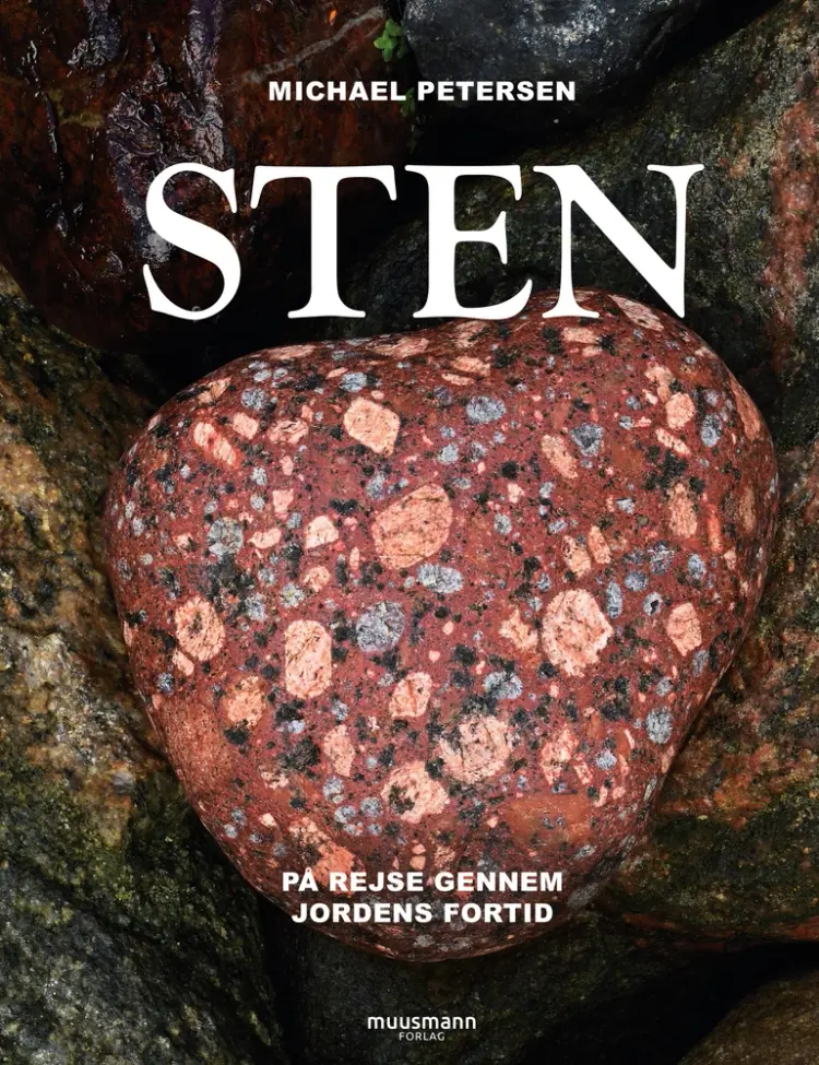 Sten af Michael Petersen