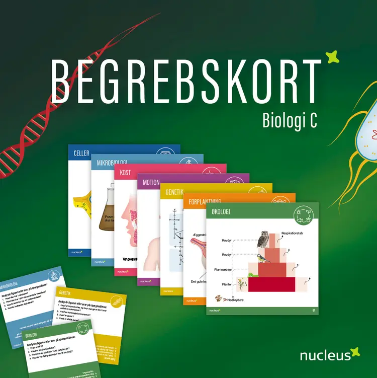 Begrebskort til biologi C af Kirsten Hede