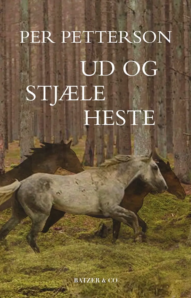 Ud og stjæle heste af Per Petterson