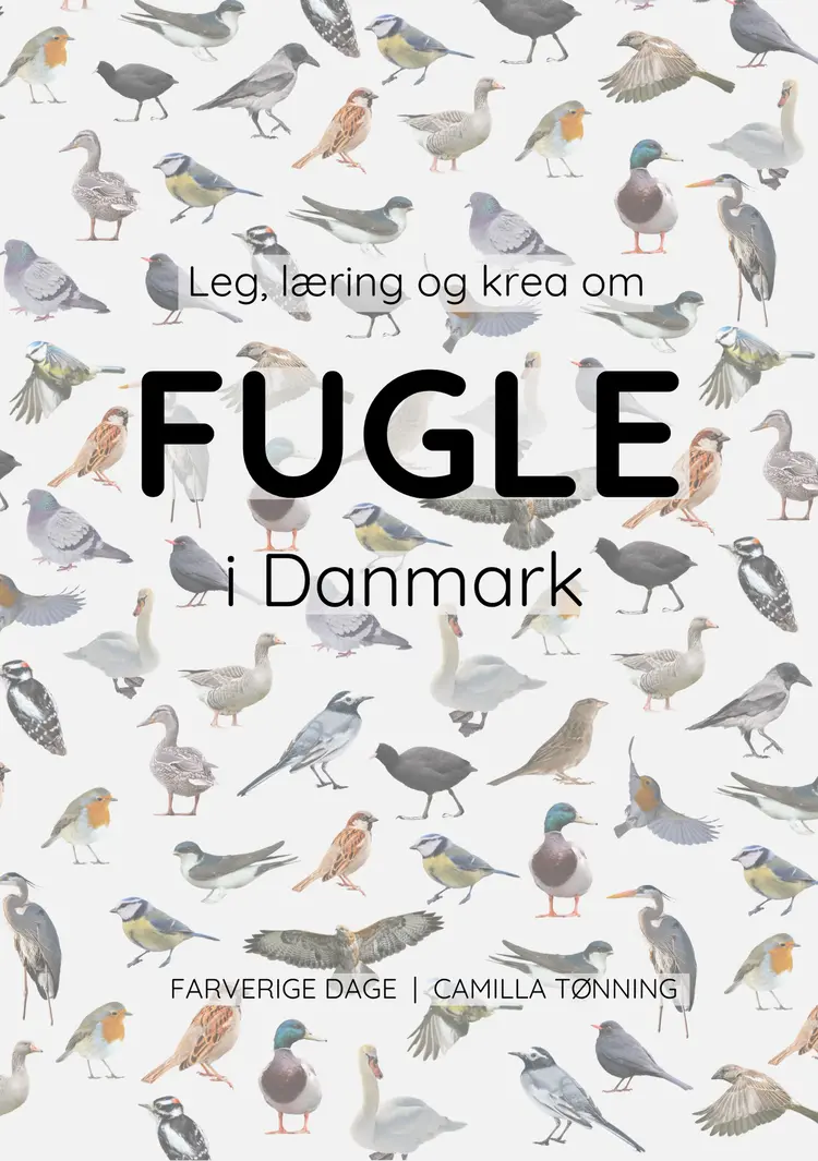 Leg, læring og krea om fugle i Danmark af Camilla Tønning