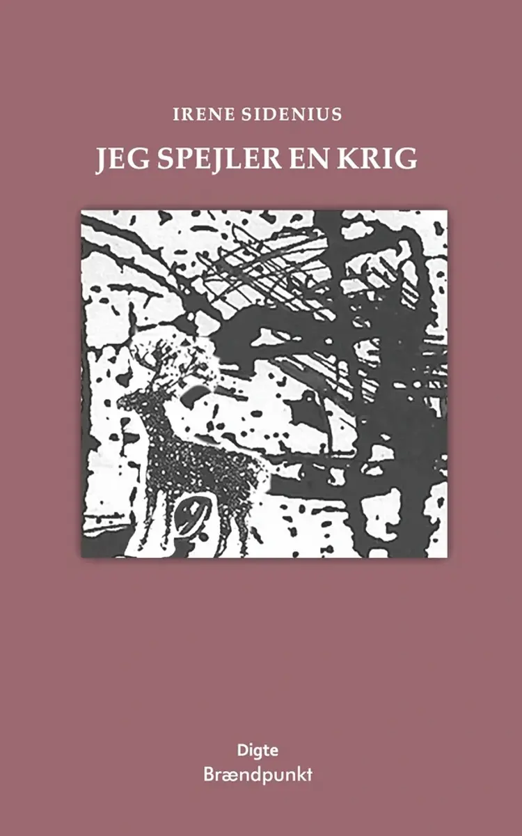 Jeg spejler en krig af Irene Sidenius