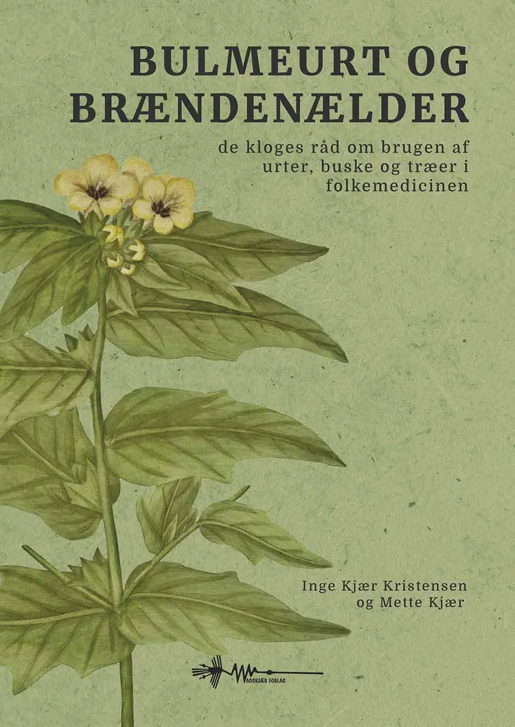 Bulmeurt og brændenælder af Inge Kjær Kristensen