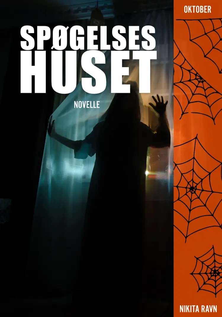 Spøgelseshuset af Nikita Ravn