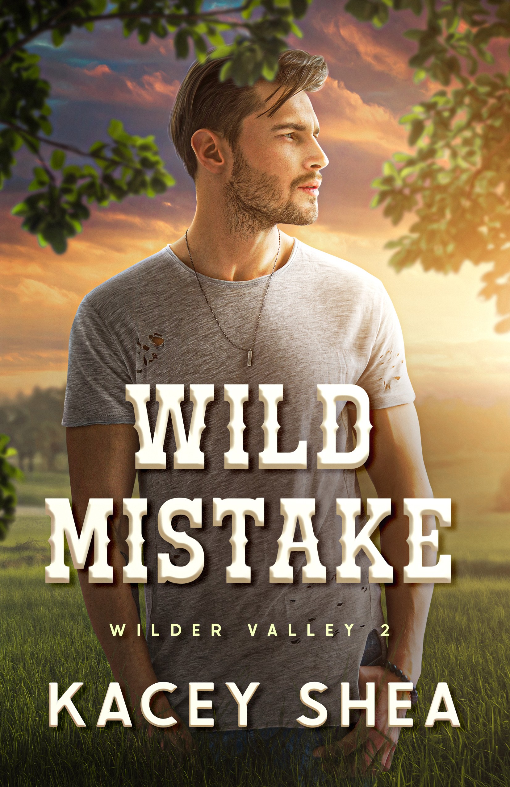 Wild Mistake cover