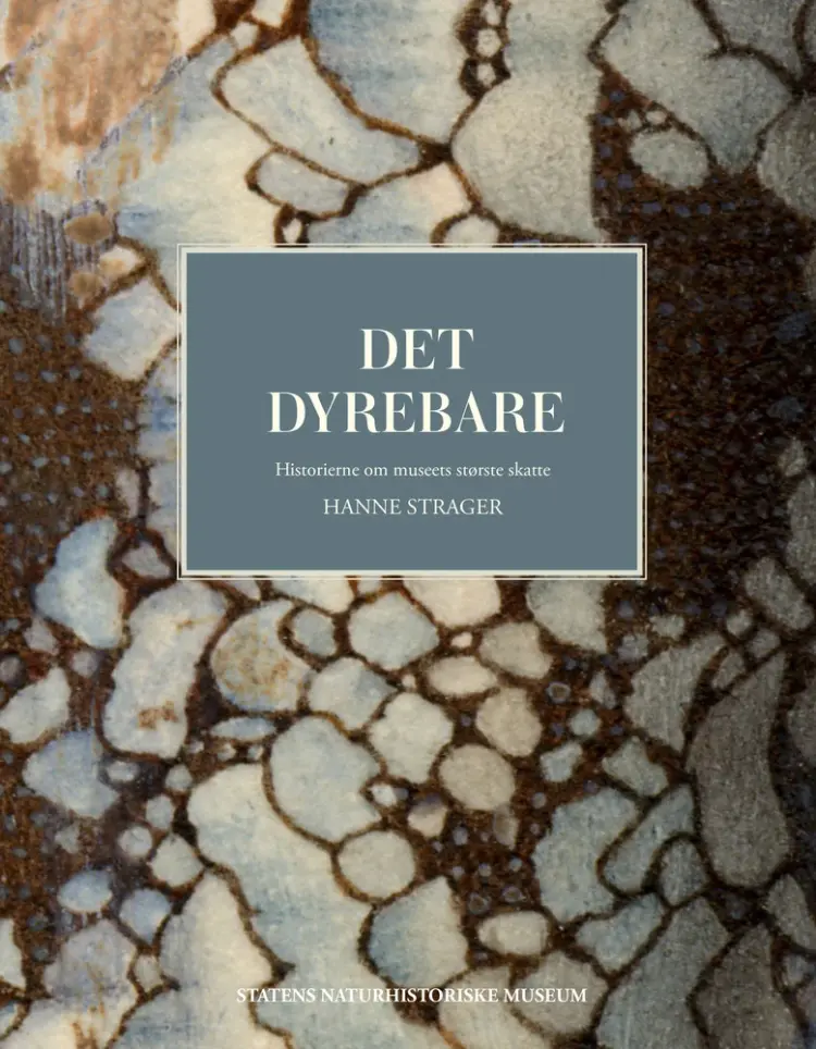 Det dyrebare af Hanne Strager