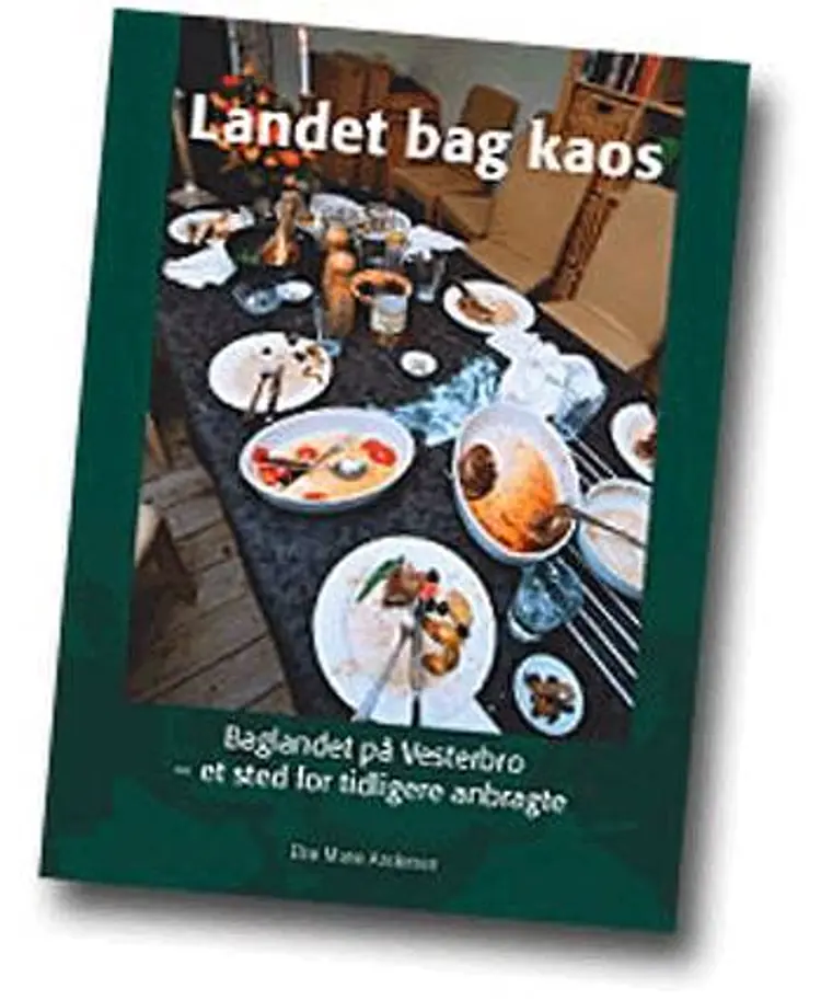 Landet bag kaos af Else Marie Andersen