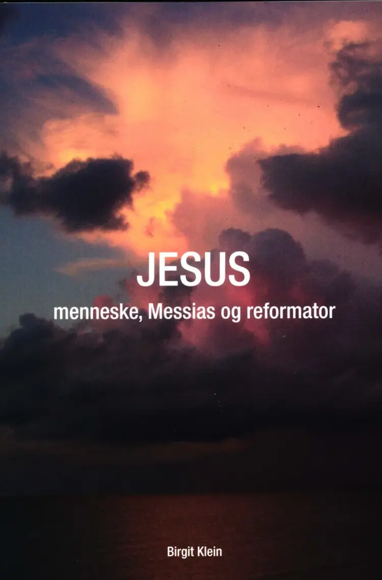JESUS - menneske, messias og reformator af Birgit Klein