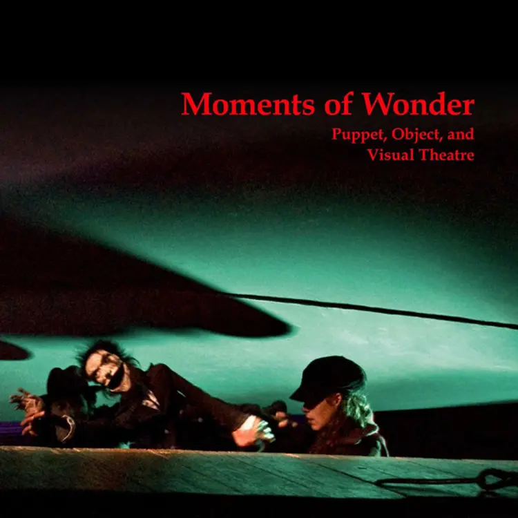 Moments of Wonder af Peter Birk