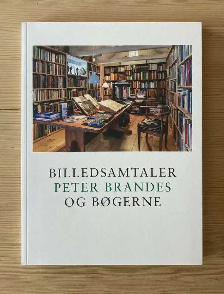 Billedsamtaler. Peter Brandes og bøgerne af Peter Brandes