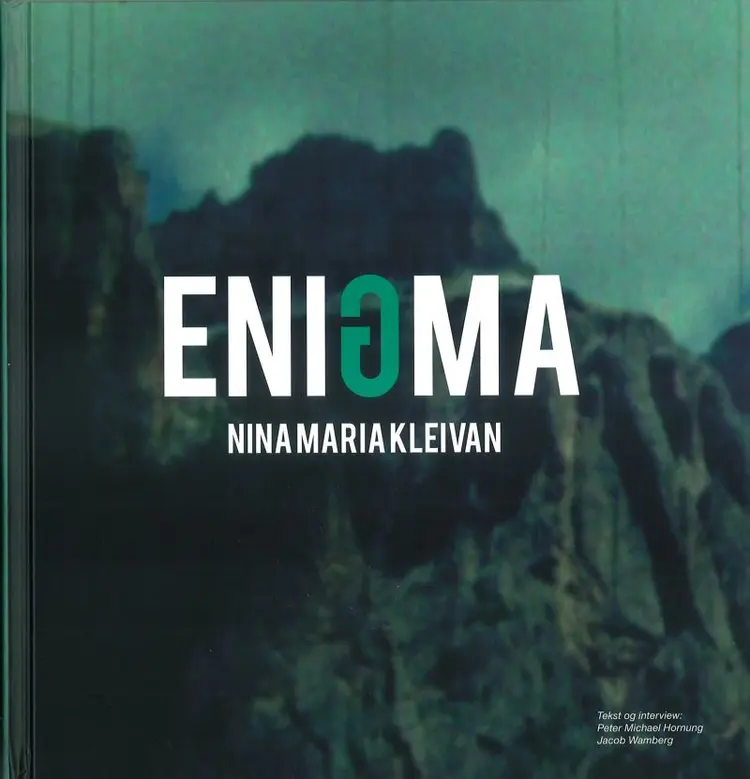 Enigma af Peter Michael Hornung