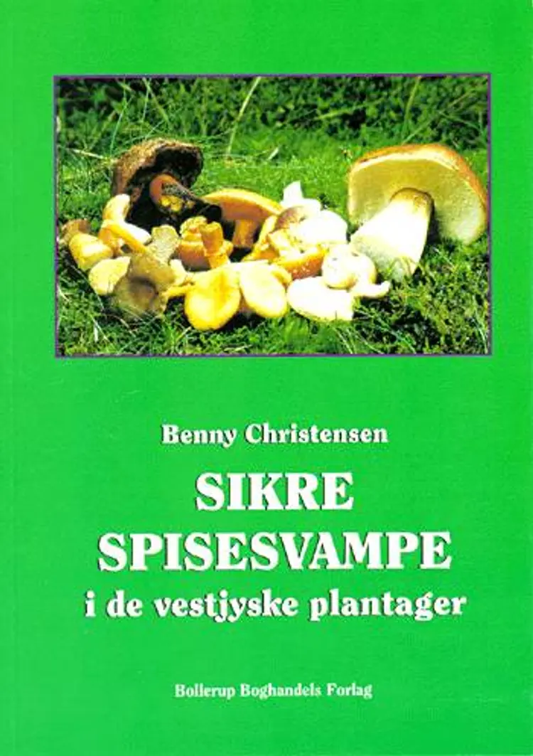 Sikre spisesvampe i de vestjyske plantager af Benny Christensen