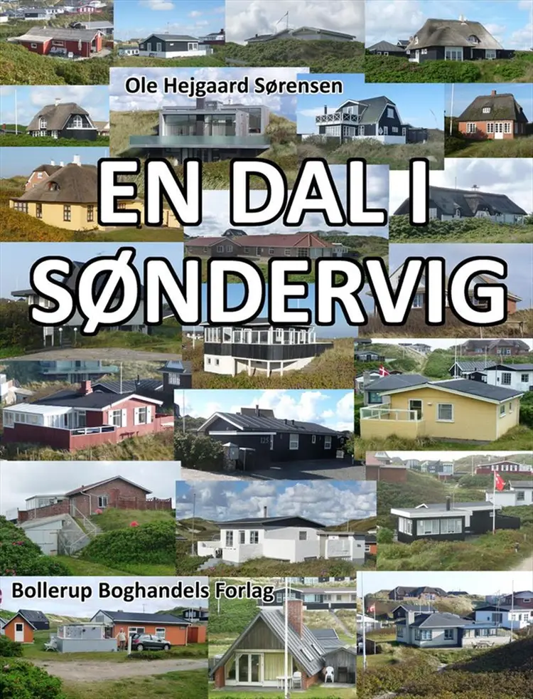 En dal i Søndervig af Ole Hejgaard Sørensen