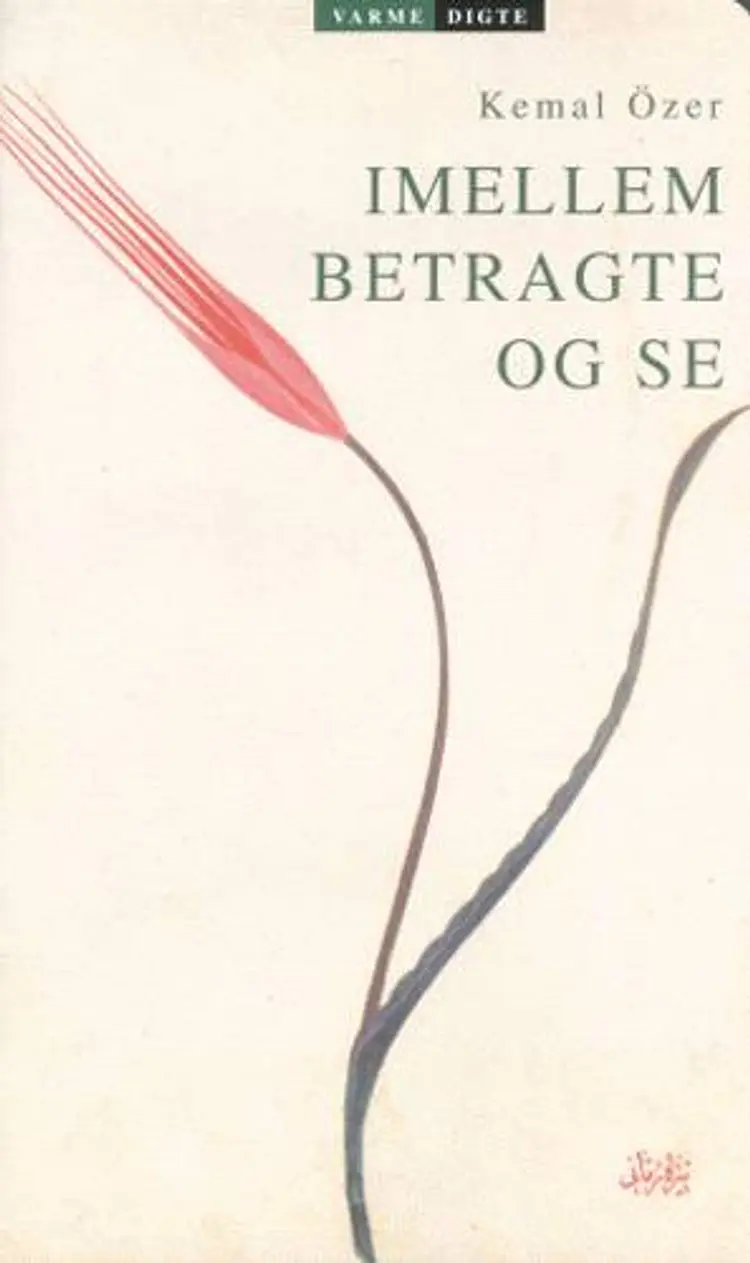 Imellem betragte og se af Kemal Özer