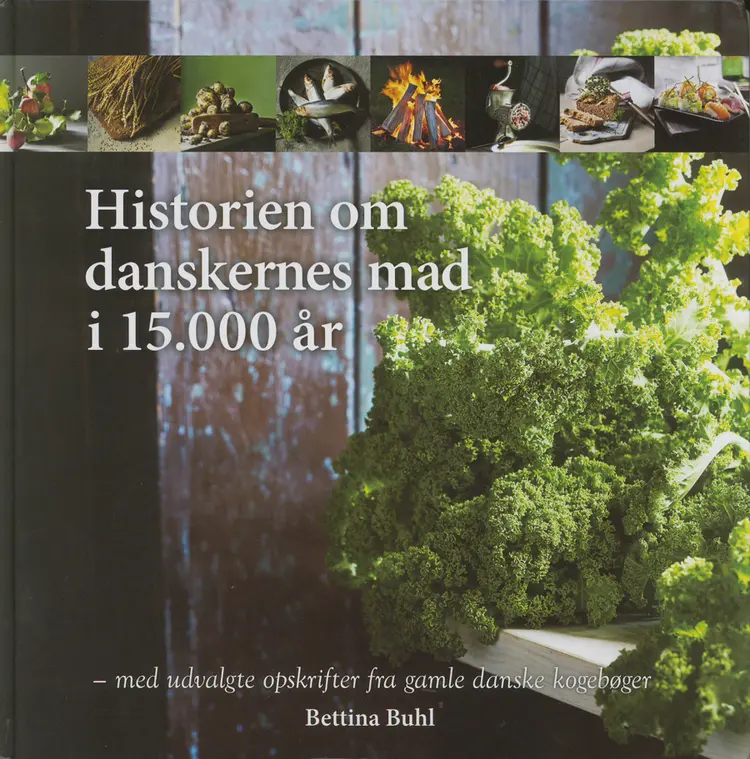 Historien om danskernes mad i 15.000 år af Bettina Buhl