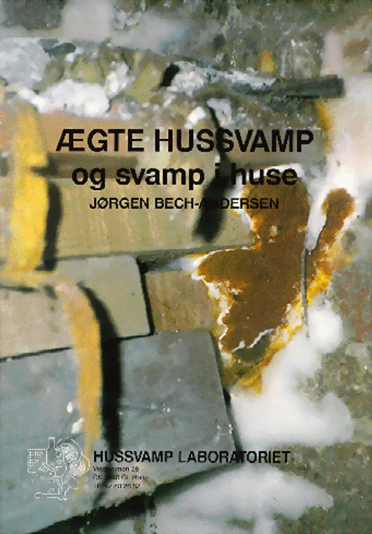 Ægte hussvamp og svamp i huse af J. Bech-Andersen
