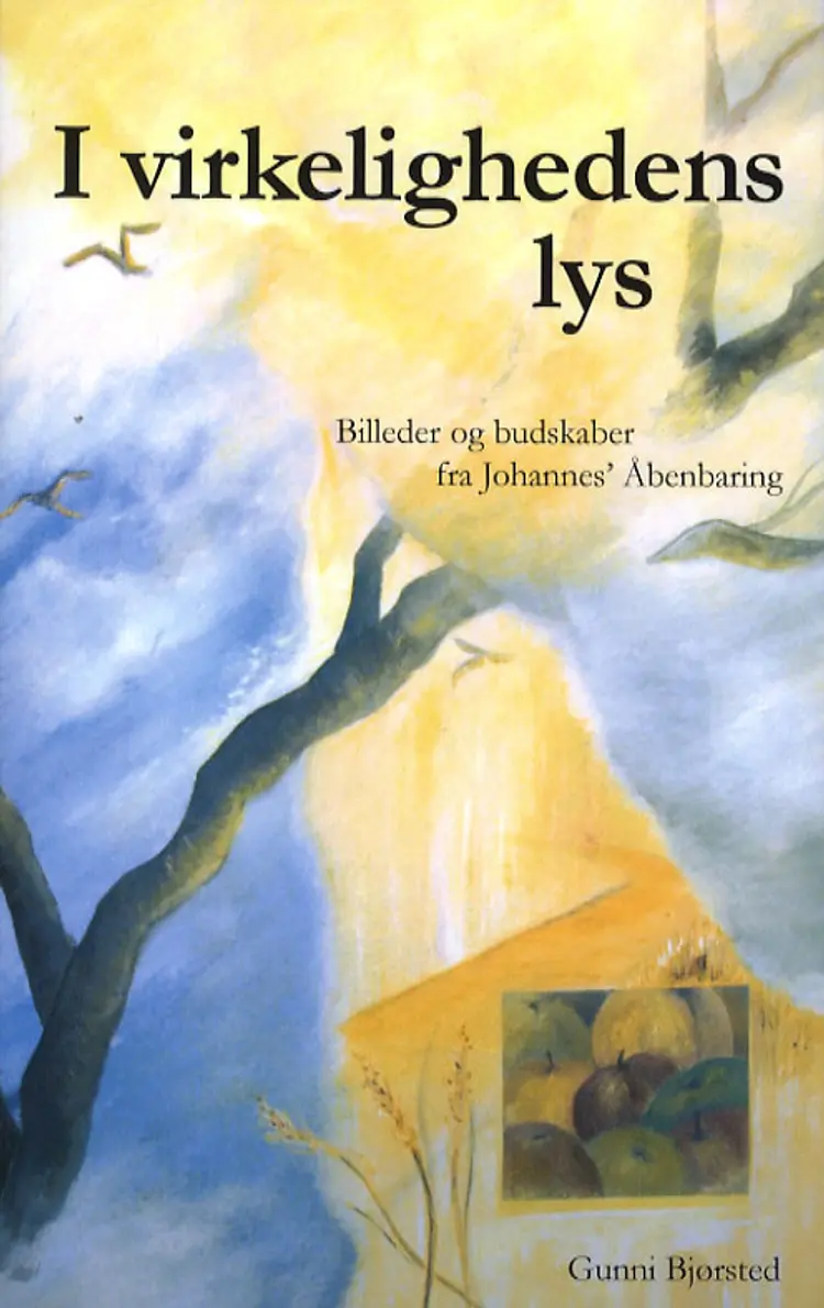 I virkelighedens lys af Gunni Bjørsted