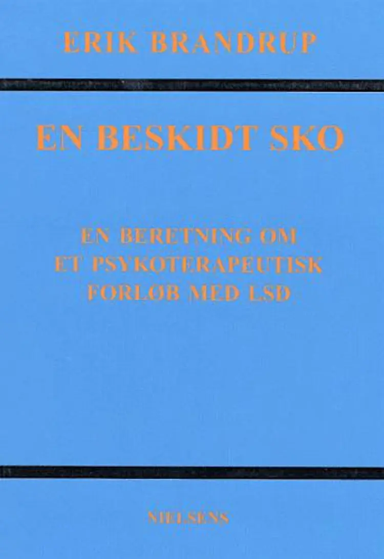 En beskidt sko af Erik Brandrup