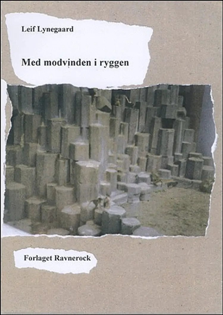 Med modvinden i ryggen af Leif Lynegaard