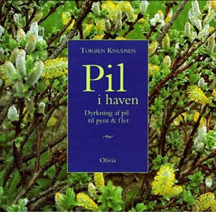 Pil i haven af Torben Knudsen