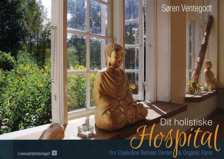 Dit holistiske hospital af Søren Ventegodt