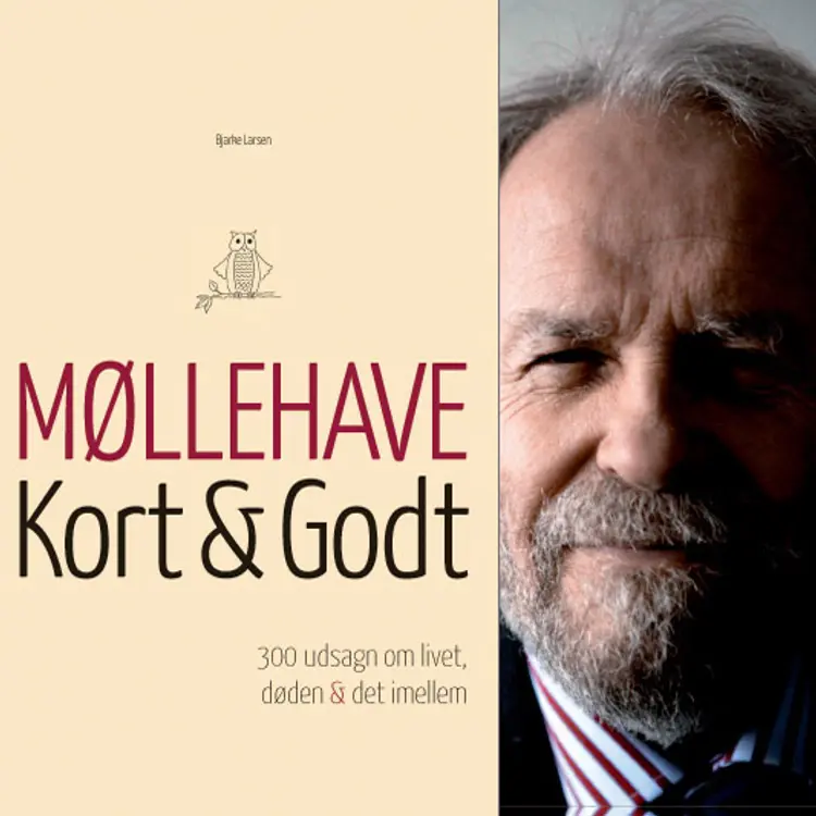 Møllehave - kort & godt af Bjarke Larsen