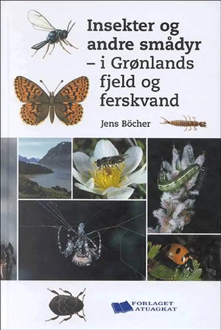 Insekter og andre smådyr - i Grønlands fjeld og ferskvand af Jens Böcher