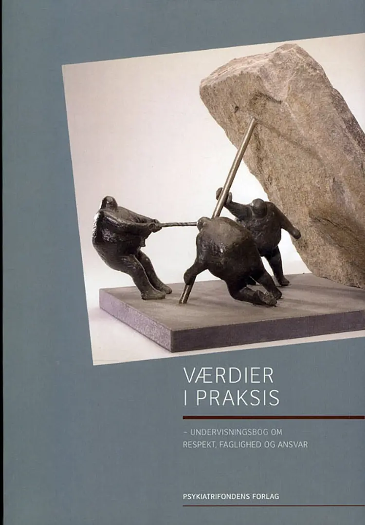 Værdier i praksis af PsykiatriFonden