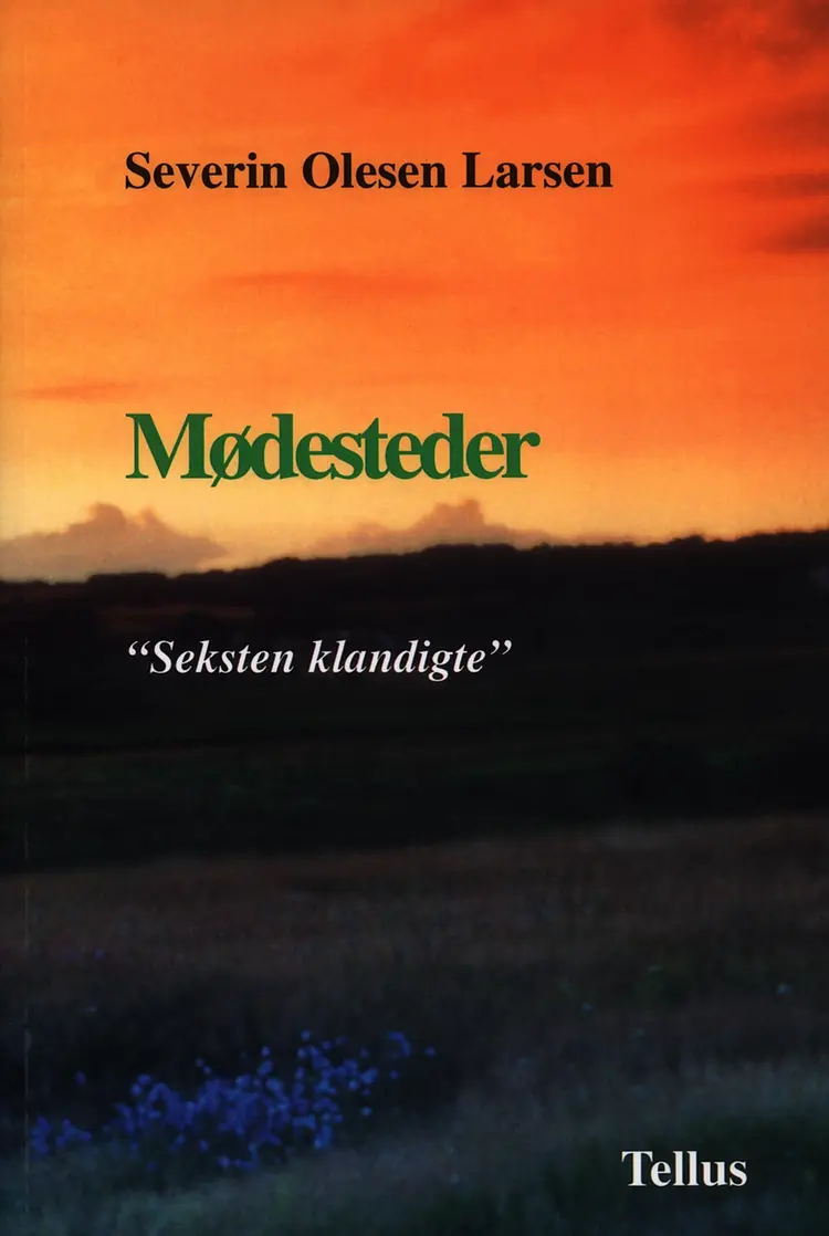 Mødesteder af Severin Olesen Larsen