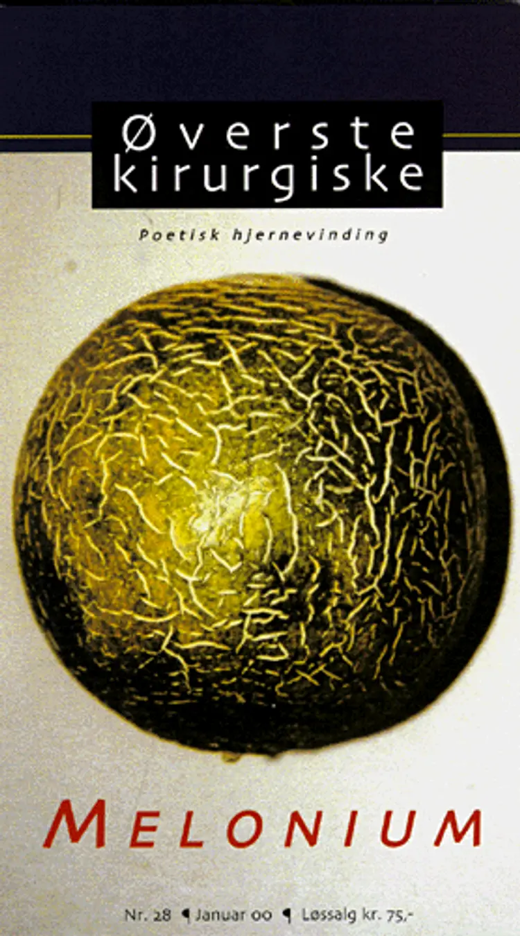 Øverste kirurgiske nr. 28