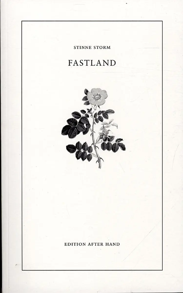 Fastland af Stinne Storm