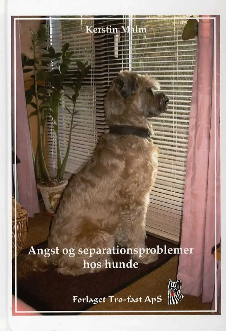 Angst og separationsproblemer hos hunde af Kerstin Malm