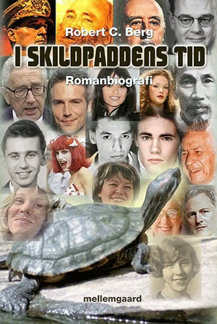 I skildpaddens tid af Robert C. Berg
