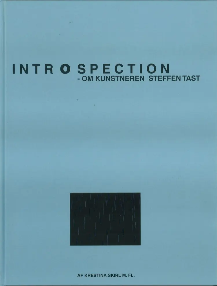Introspection - om kunstneren Steffen Tast af Krestina Skirl