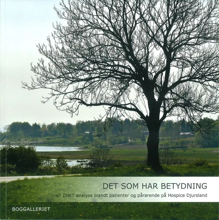 Det som har betydning af Dorit Simonsen