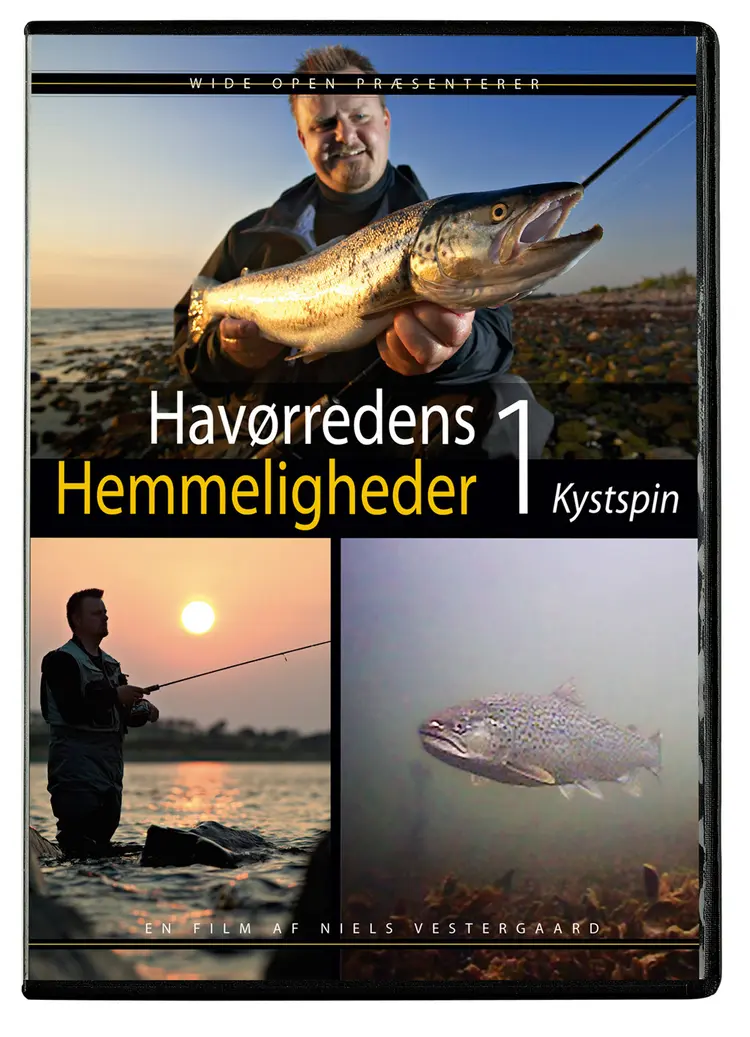 Kystspin af Niels Vestergård