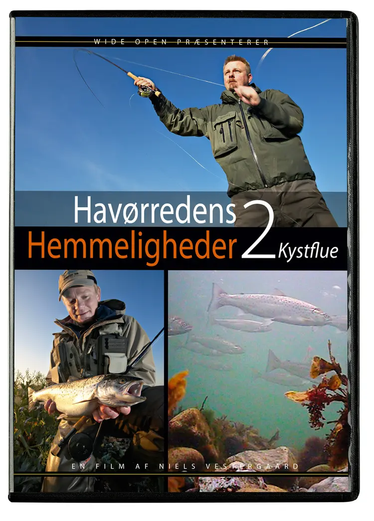 Kystflue af Niels Vestergård