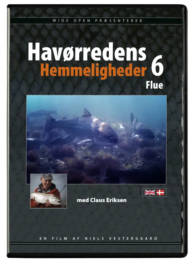 Flue af Niels Vestergaard