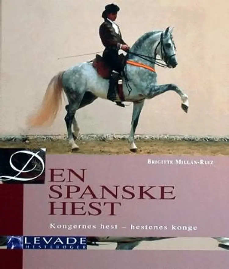 Den spanske hest af Brigitte Millán-Ruiz