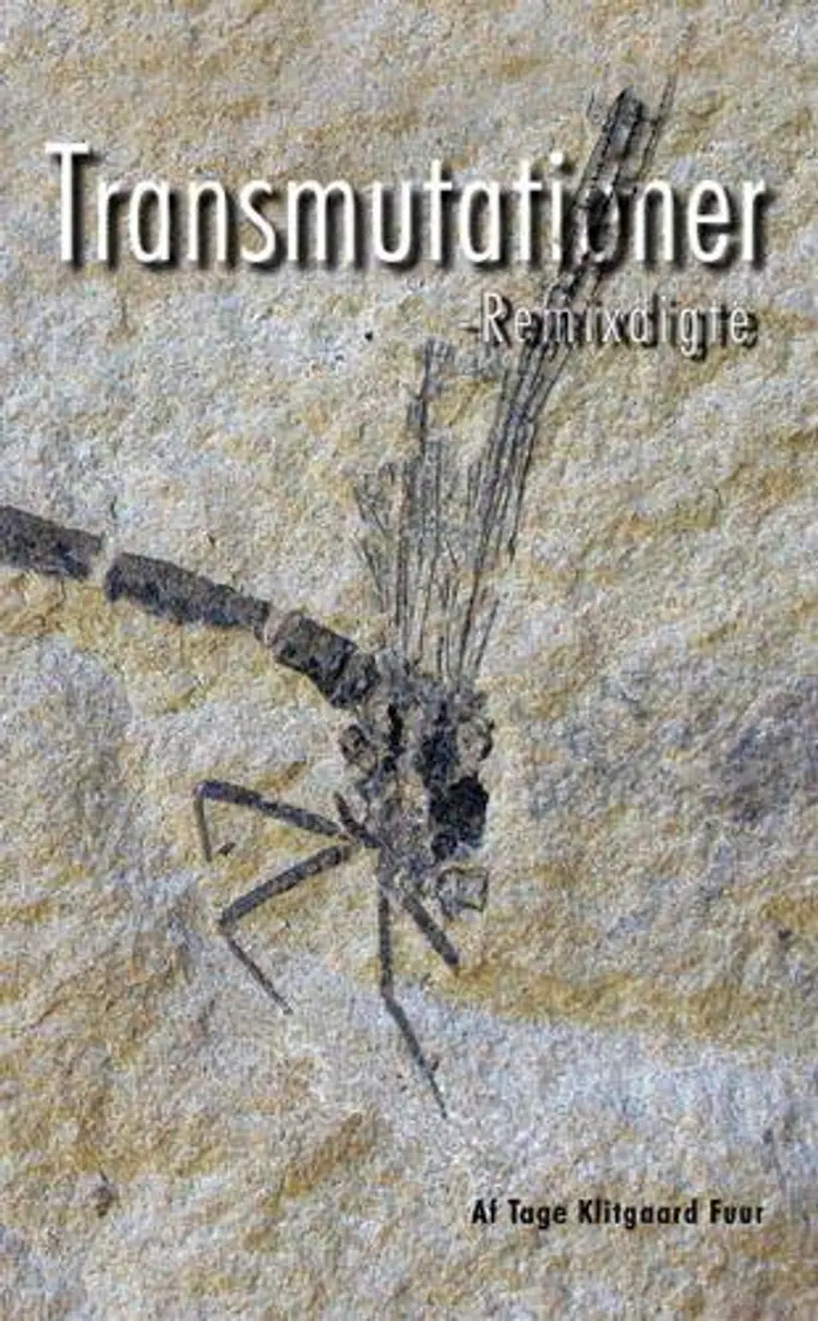 Transmutationer af T. Klitgaard Fuur
